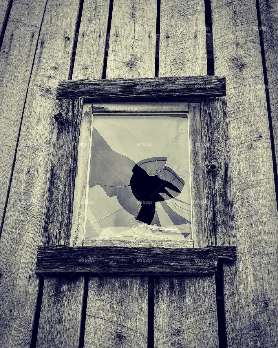 Bloomingdale Barn window