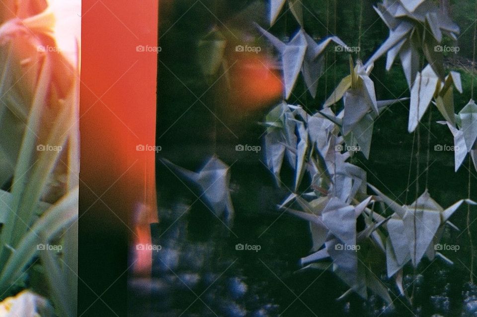 garden nature summer color by mariyasakharova