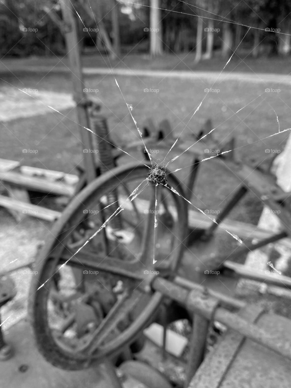 Spider web on old farm machinery 