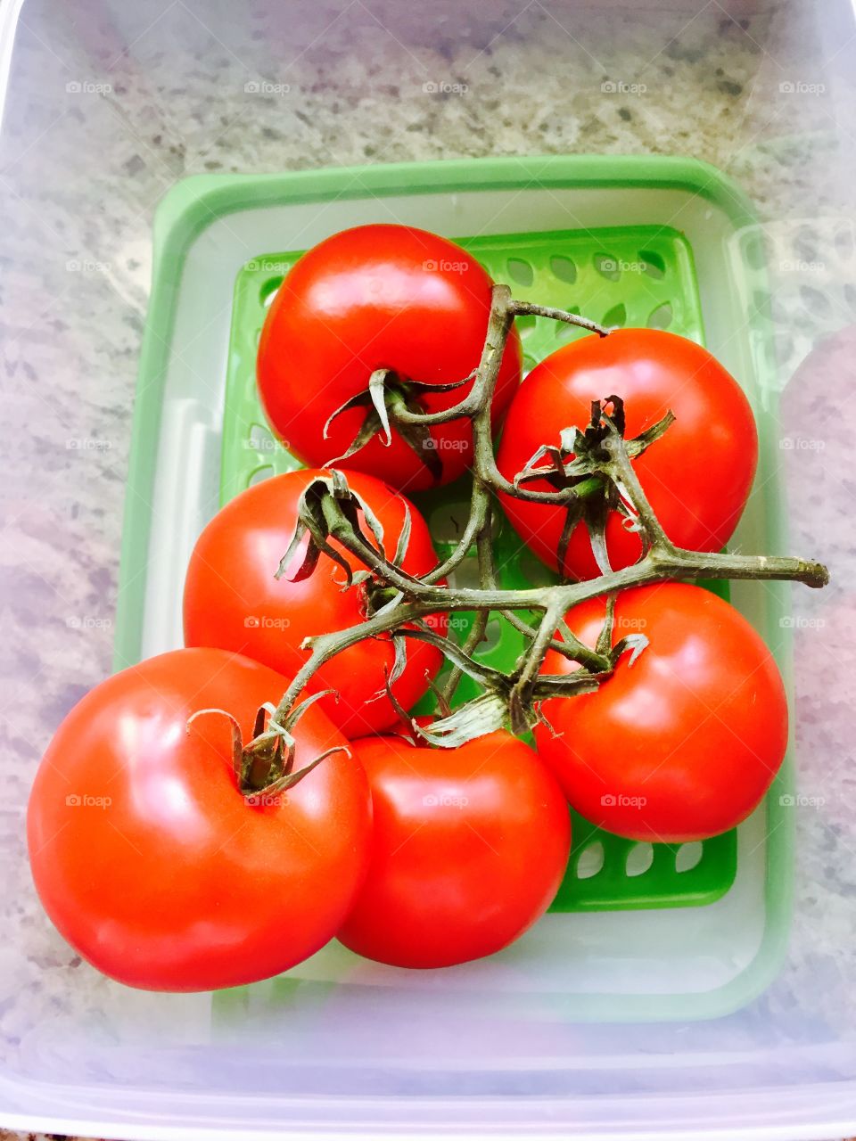Tomato tomatoes 