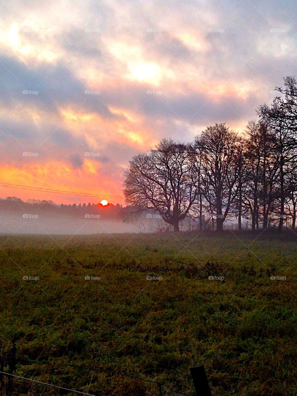 The morning mist!
