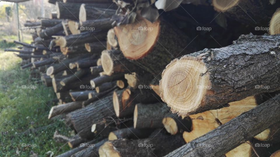 Wood stock