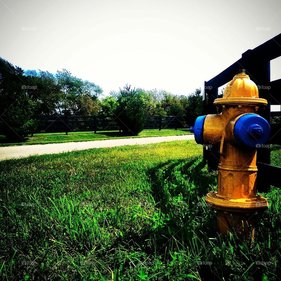 Fire Hydrant 