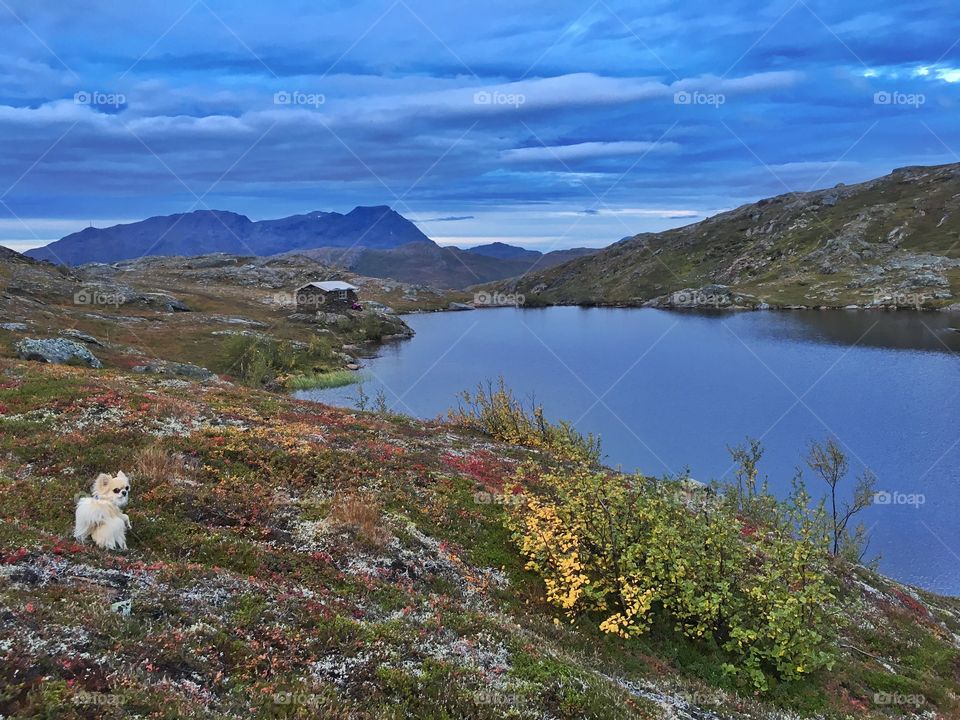 A stonecabin in the mountains of Norway