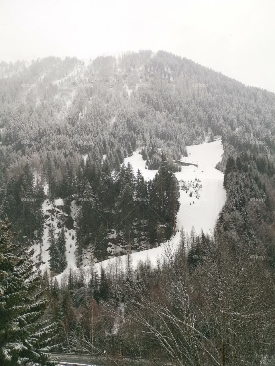 Snowy view up the mountain