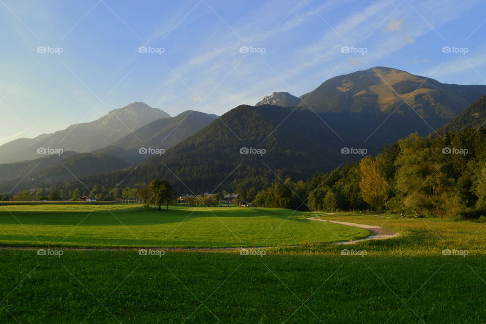 Sunlight on grassy land