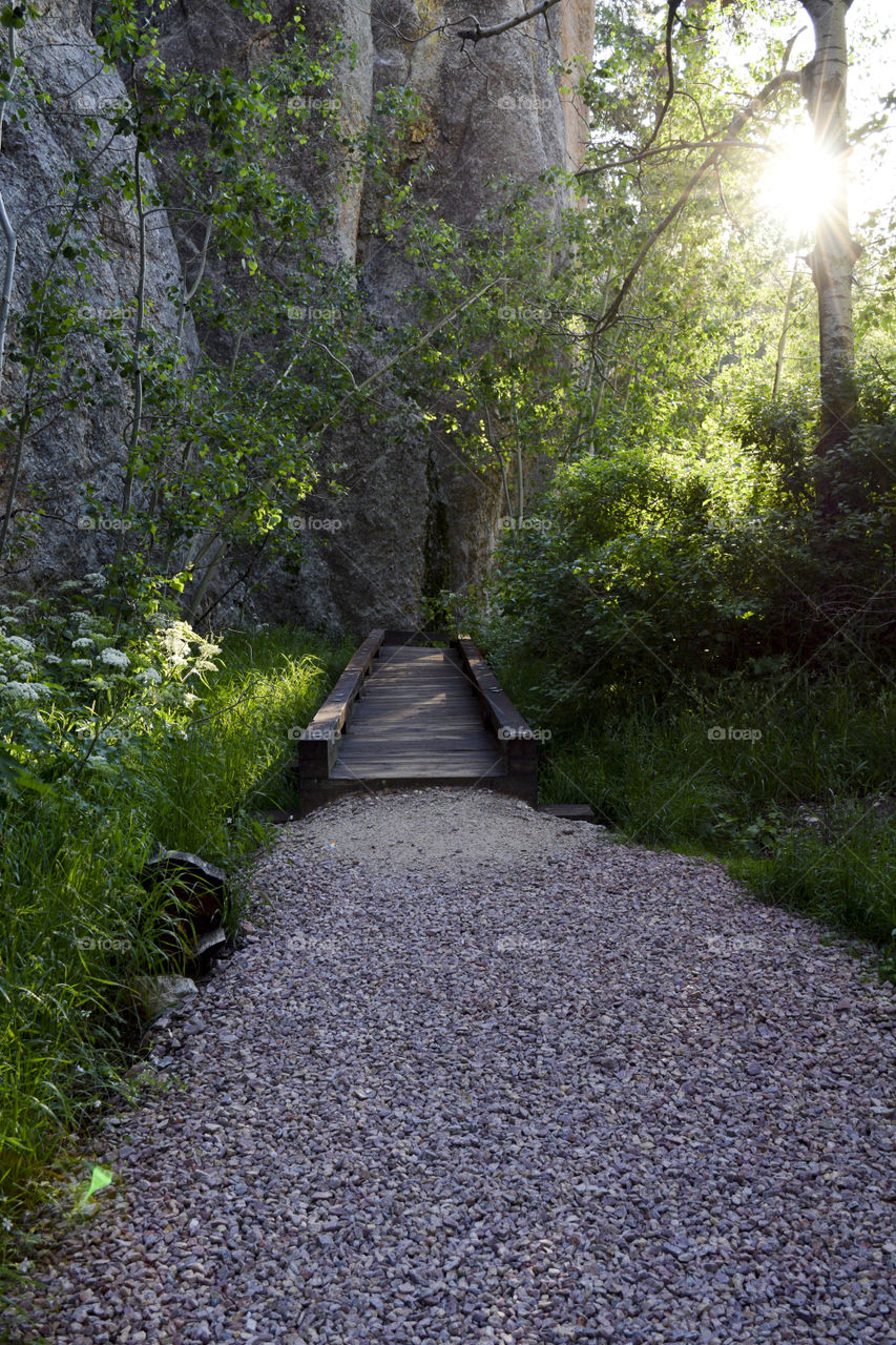 View of wooden walkway