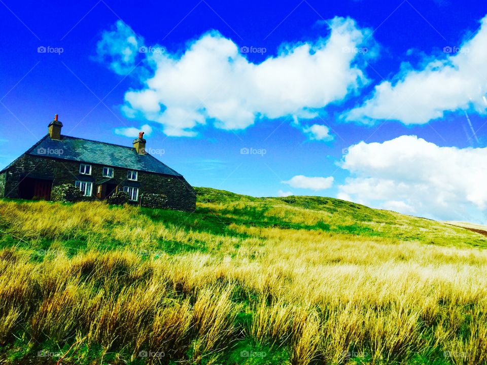 House on a beautiful landscape 