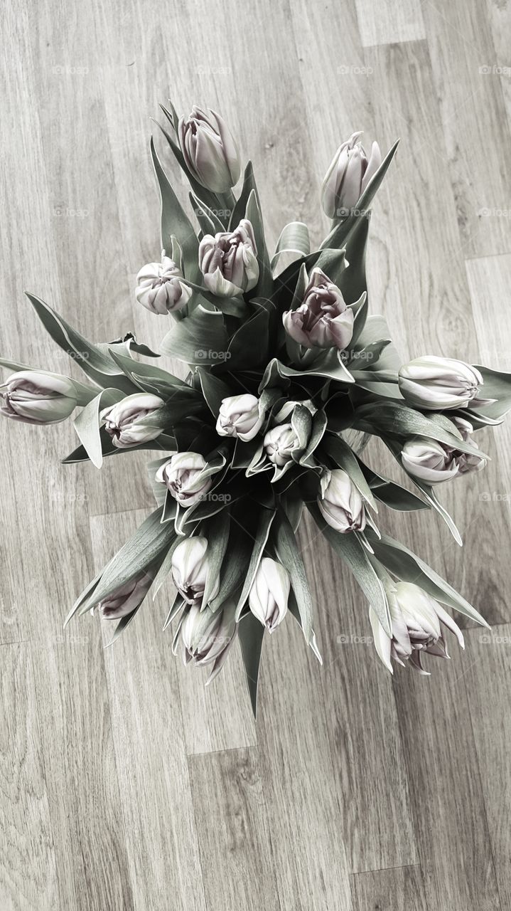 View of tulips on wooden table