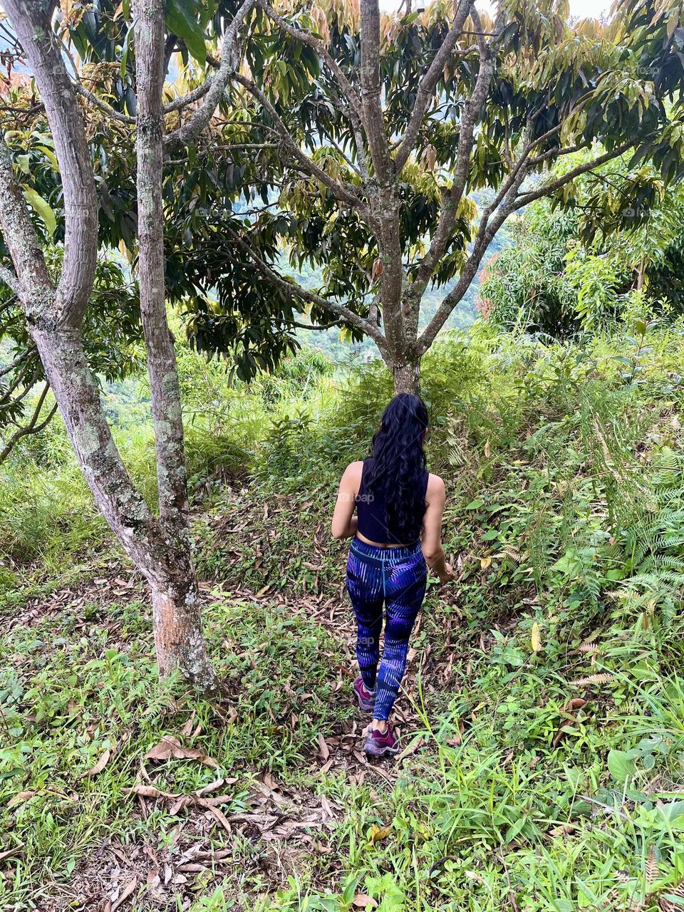 Trekking on the mountain for summer 