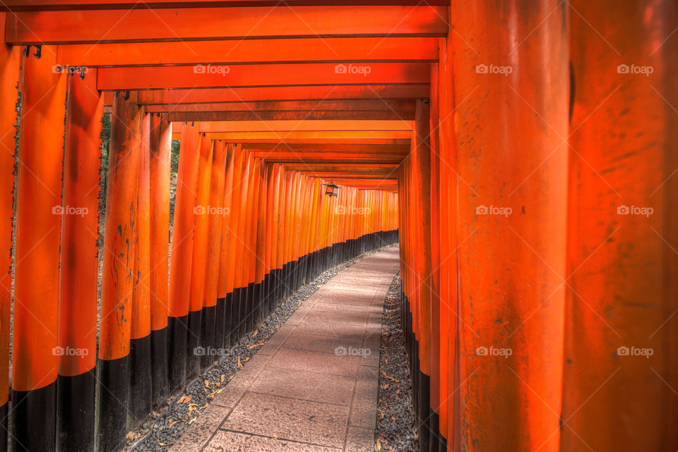 Inari fushimi shrine in Kyoto