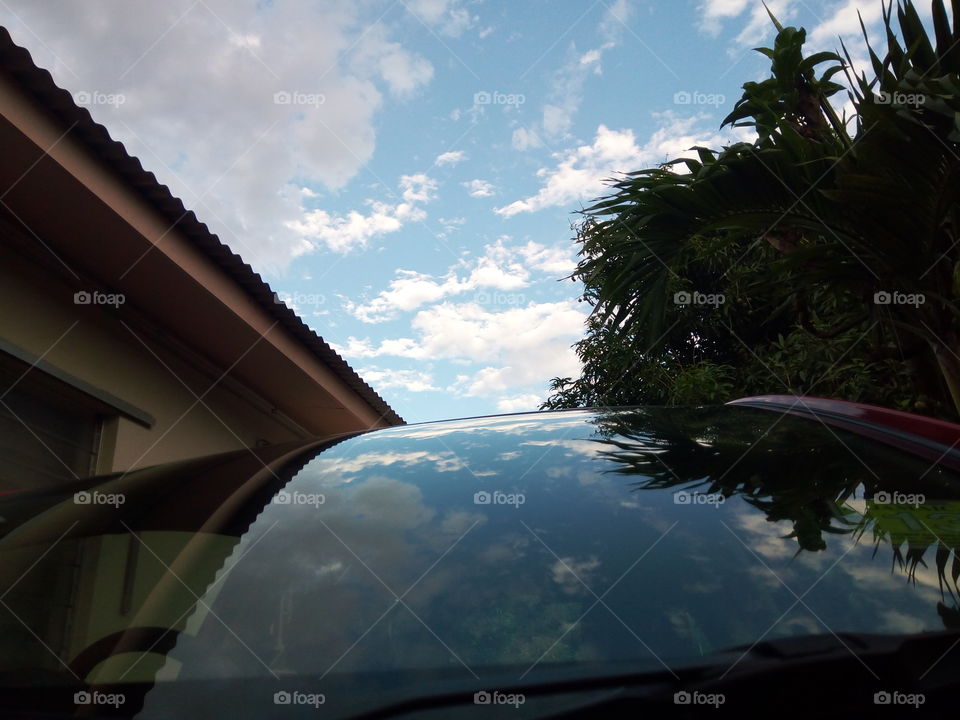 sky light reflection