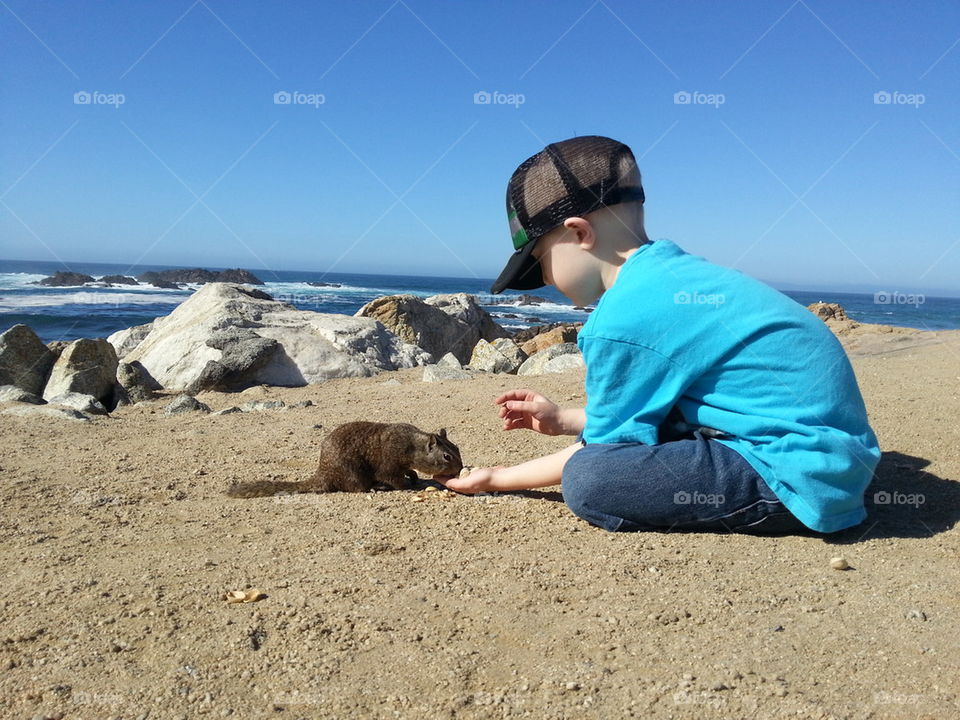 boy and squirrel