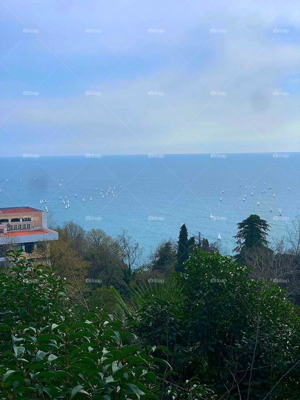 Spring. View from the mountain. In the foreground are green trees and palms. From the mountain you can see the clear blue sea with white sailing boats. Regatta