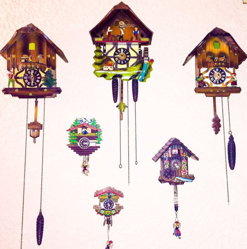 Cuckoo Clock Collection