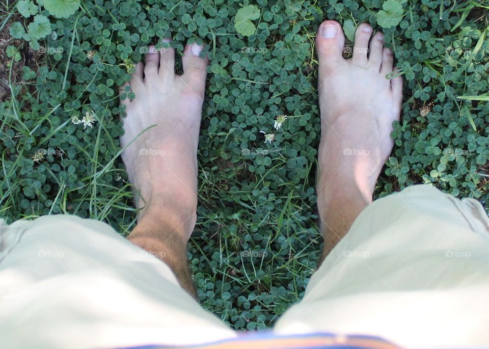 I found myself standing in a patch of clover on a nice summer morning