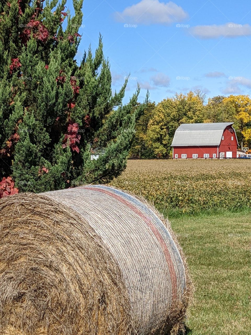 barn fall scene Indiana