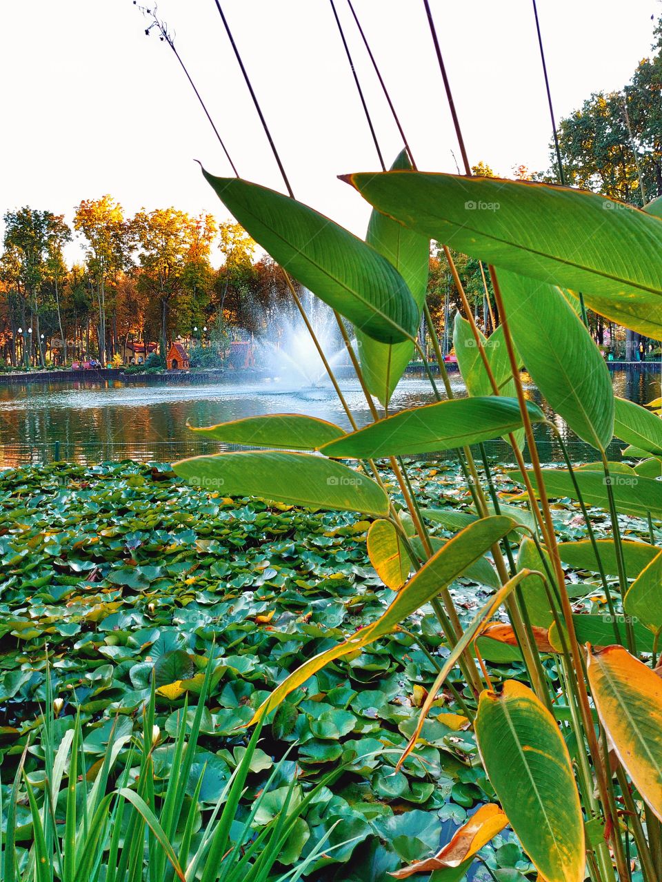 Autumn lake, autumn moods, autumn time