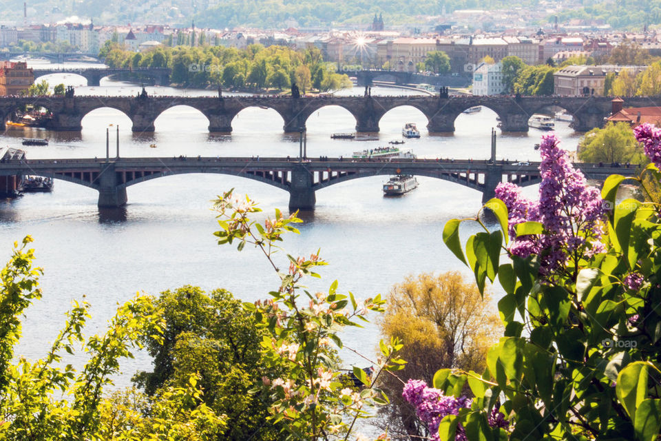 Bridges of Prague 