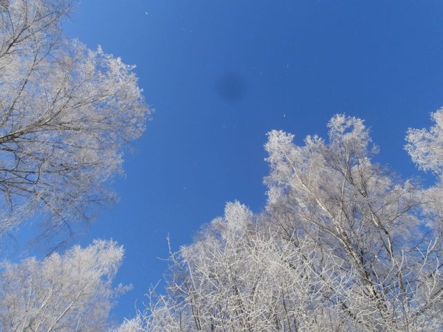 Winter tales