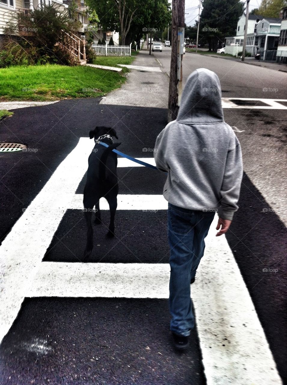 Boy and his dog