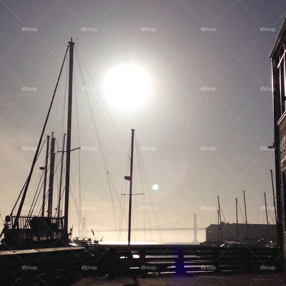 Morning Dock Sun