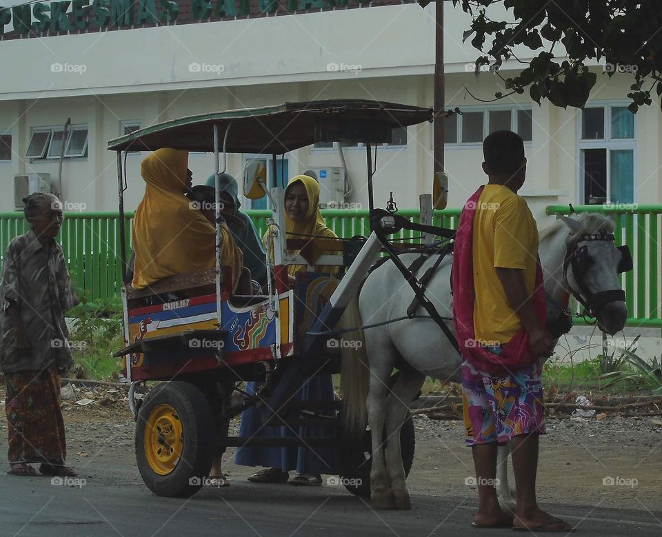 Cidomo, andong, or dokar. Many name of traditional for calling the unique transportation there. Horse's used for help.The transport famous may seen espesially at lombok, sumbawa, and others of province in nusatenggara barat.