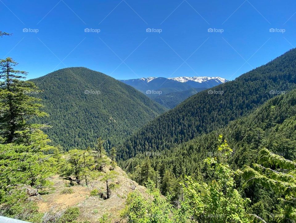 Olympic Mountain Range from Hurricane Ridge