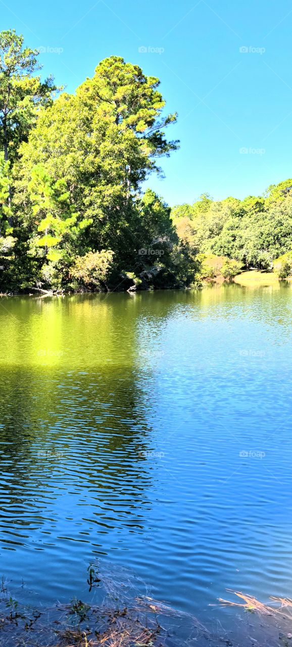 colors reflecting in the water adds variety of textures