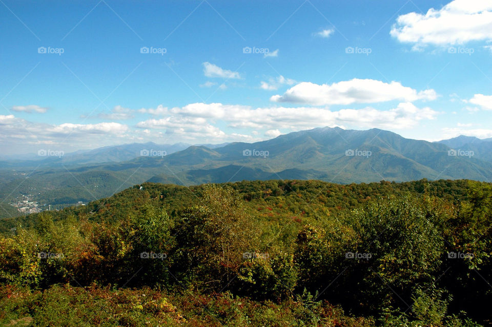 North Carolina mountains