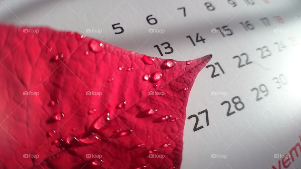 Red leaf on the calendar