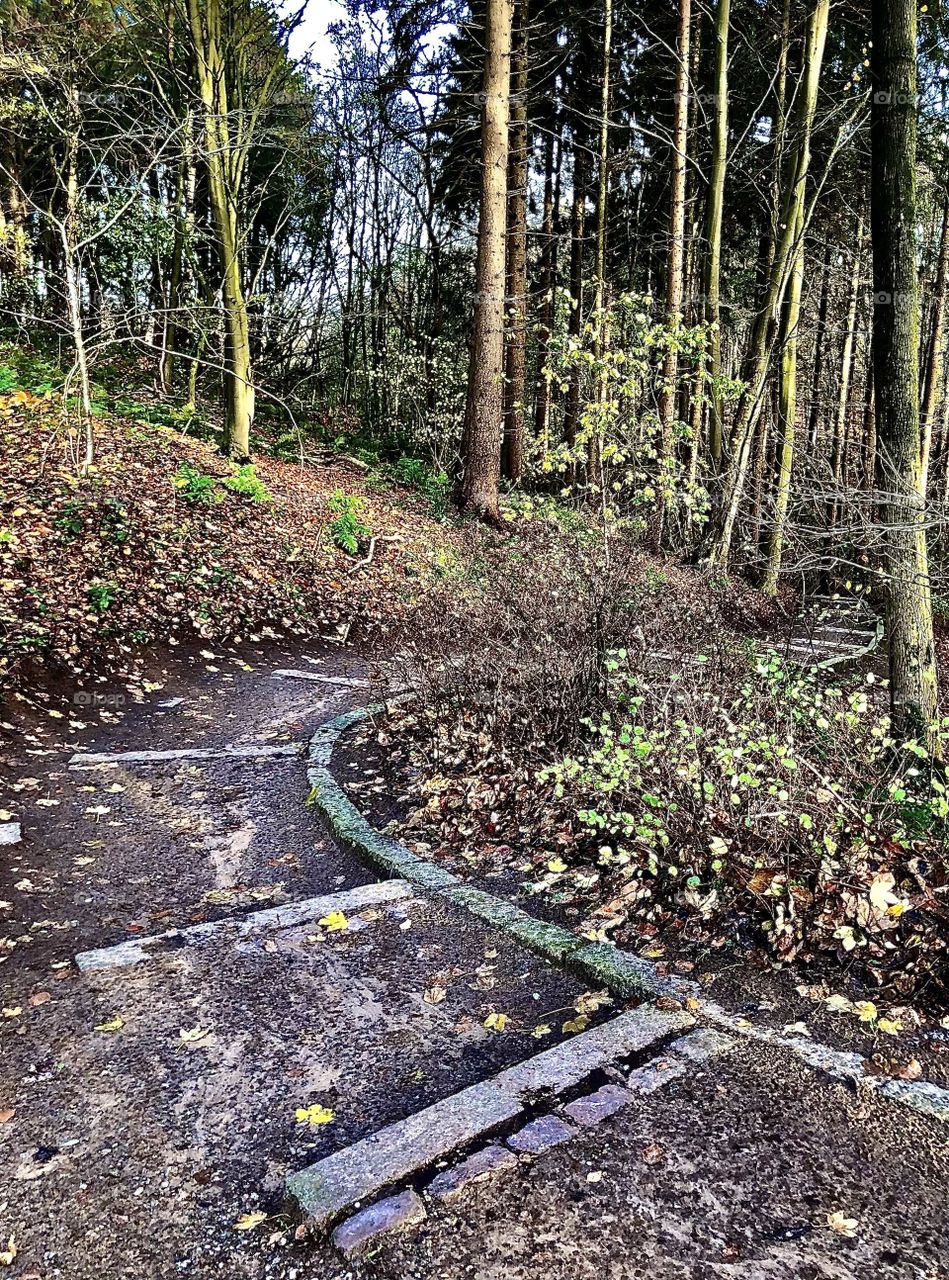 The way of freedom 😌