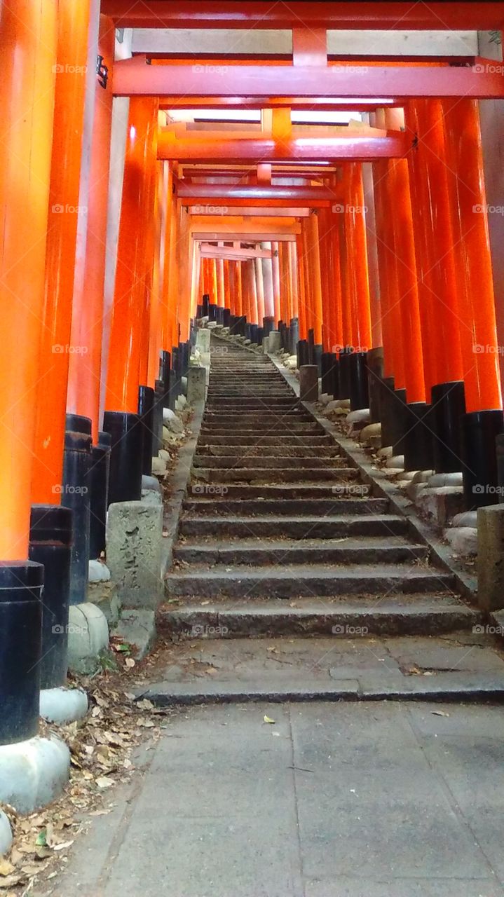 A winding staircase beneath the red glow of gates in Kyoto's Fushimi Inari Shrine.