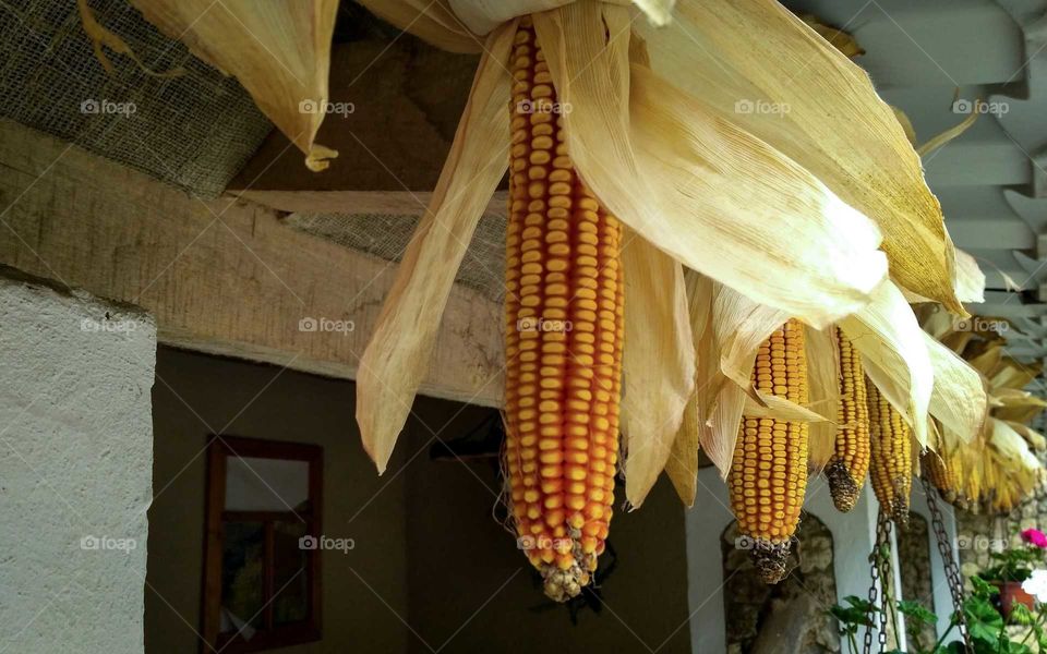 corn decorations