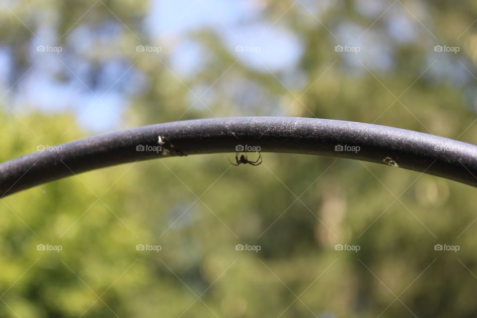 Upside down spider