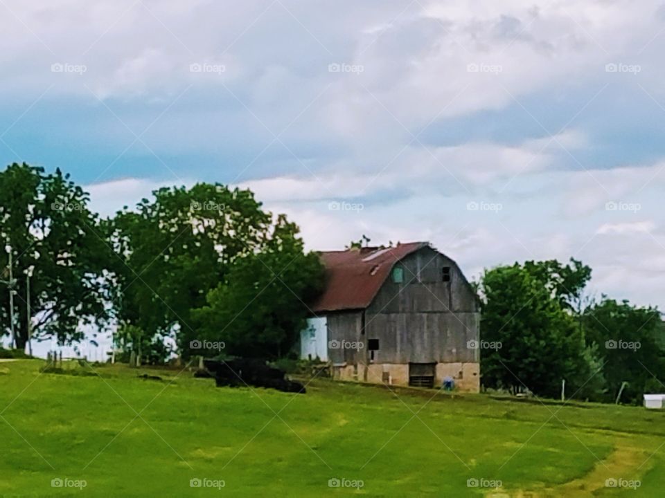 Driving the Back Roads and enjoying everything around us