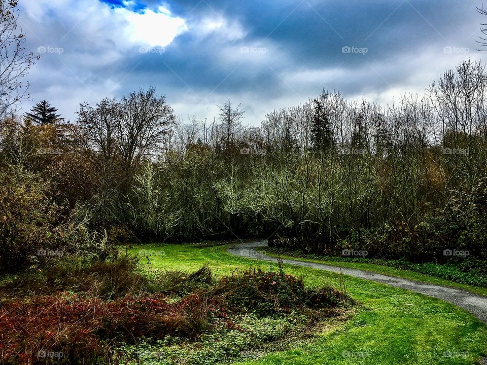 A Walk on a Rainy Black Friday 