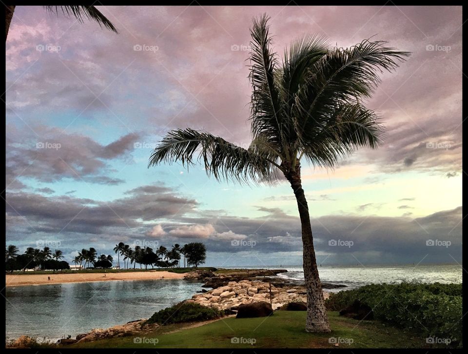Beautiful Hawaiian sunset with Palm trees.