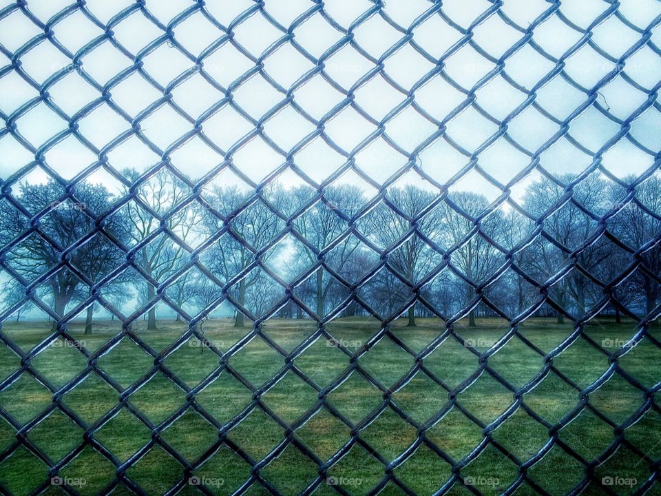 Icy morning at a park in Chicago.