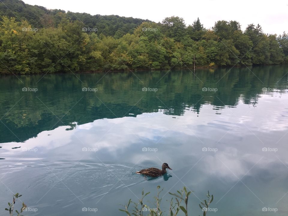 Plivitice Lakes, Croatia