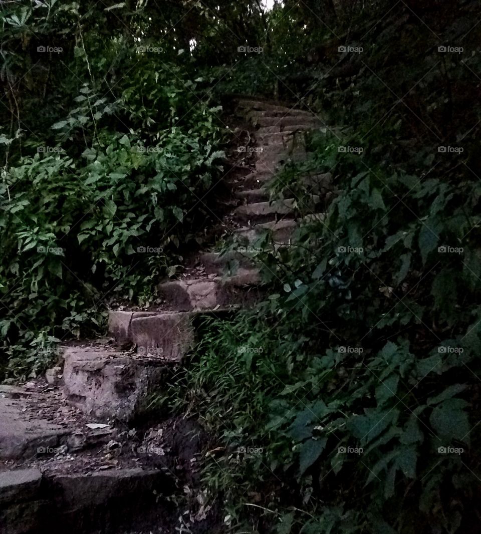 Path to possibilities