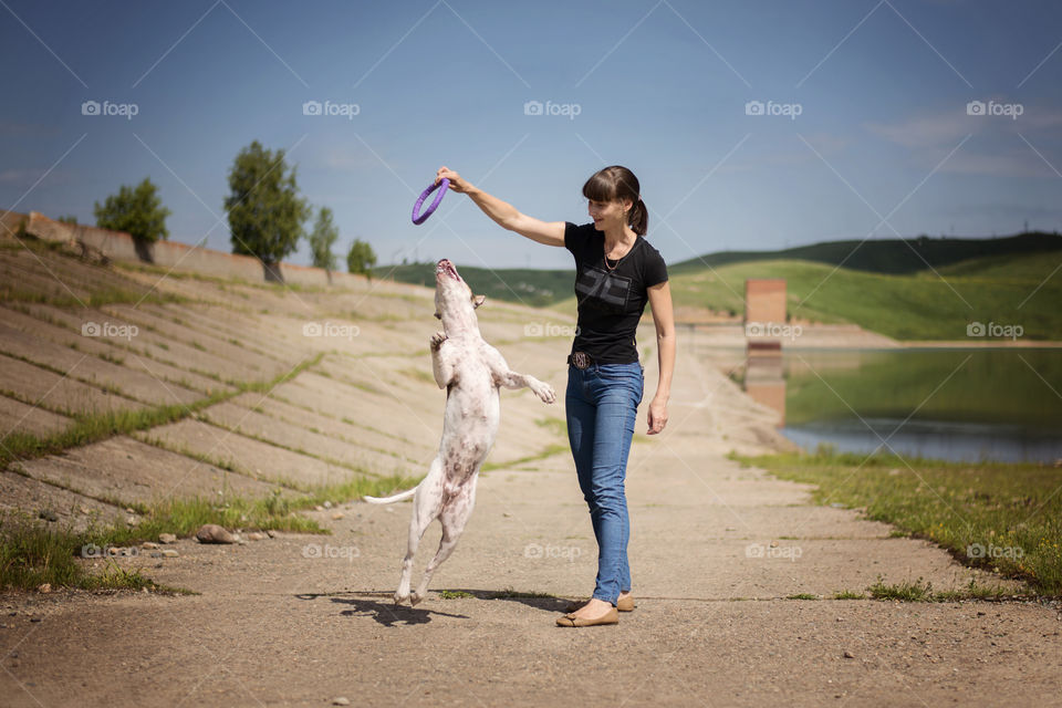 Dog jumping over the ring in the hands of woman