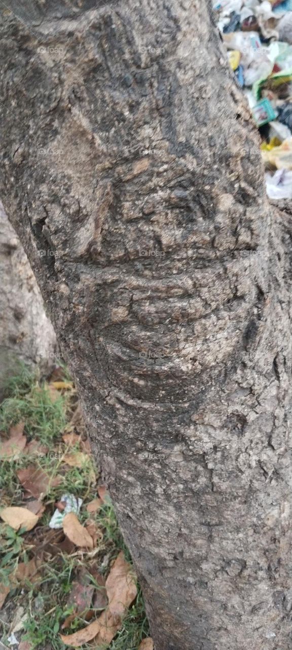 The natural sculpture.