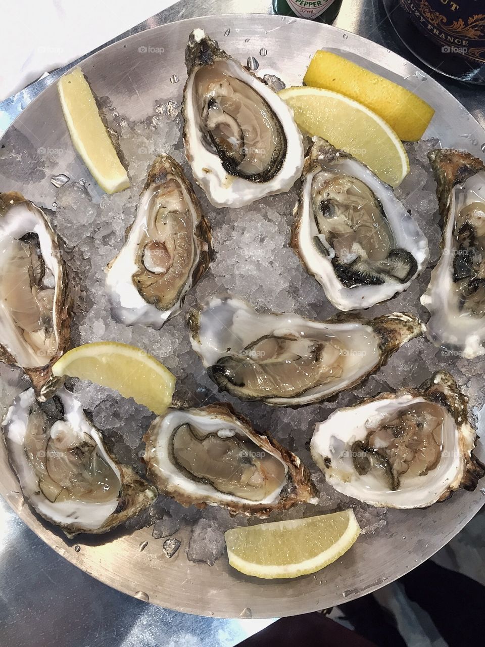 Oysters