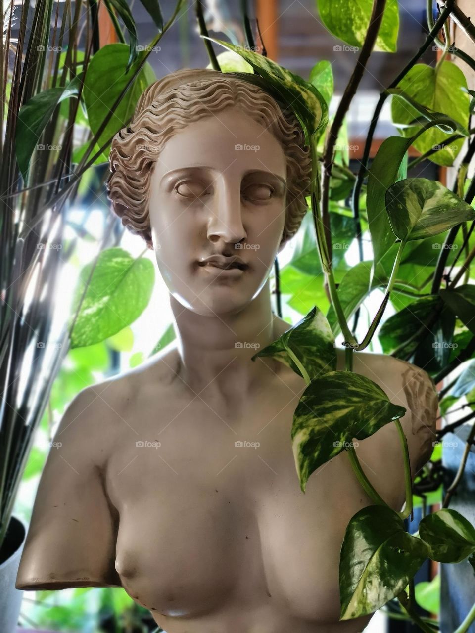 Plants around us. Greek sculpture surrounded by green plants.