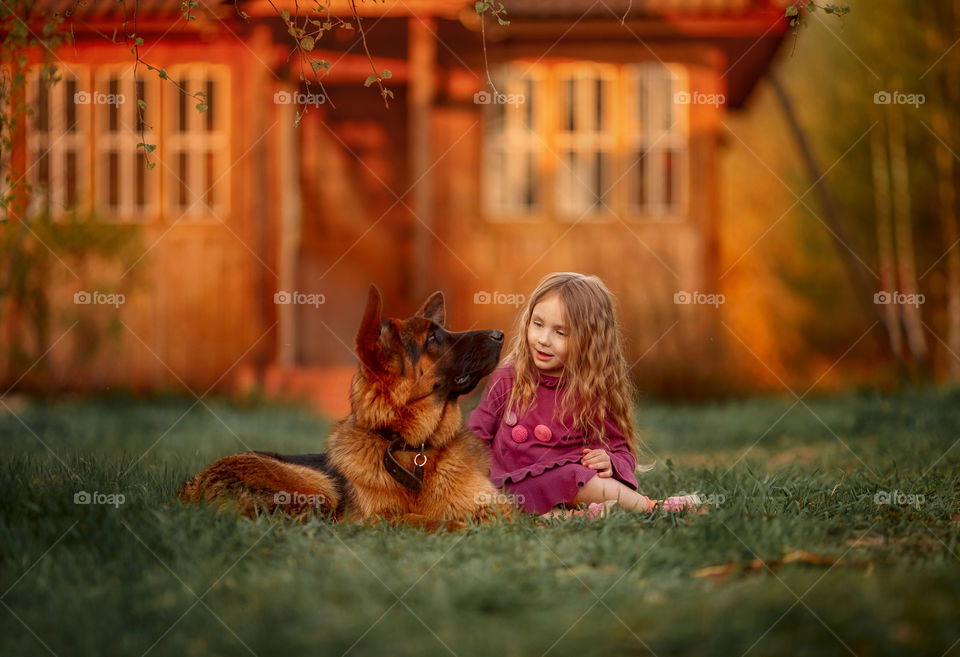 Portrait of a little girl with German shepherd dog at sunny evening 