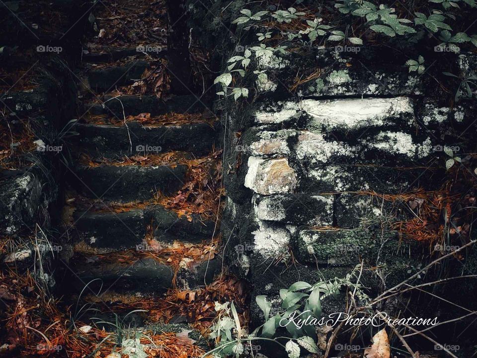 Abandoned steps to nowhere 