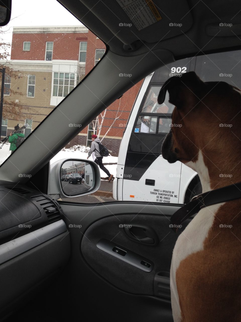 Picking up the kids after school