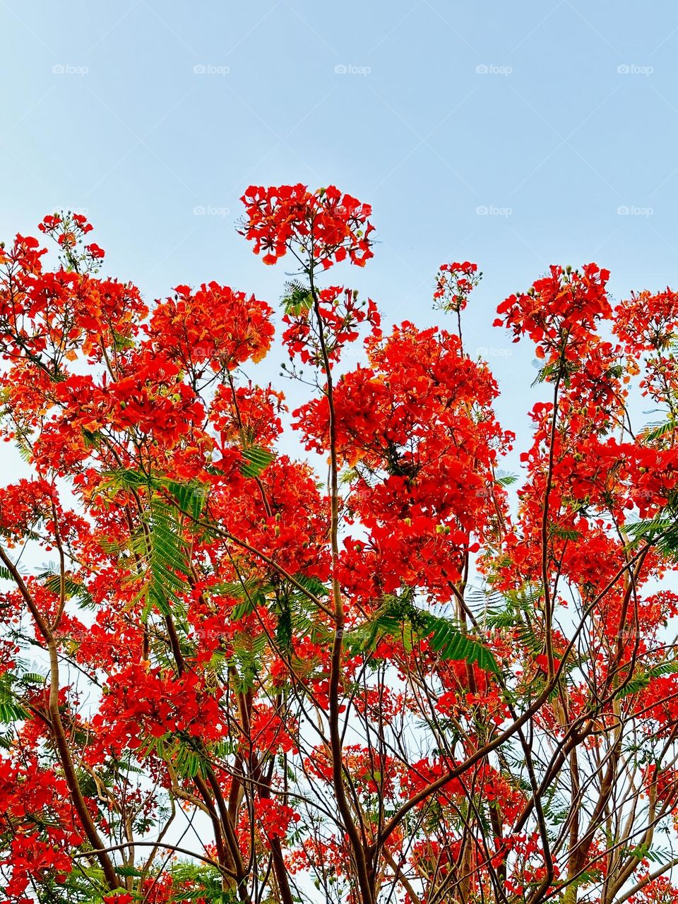 A pinch of autumn feels in summer. 