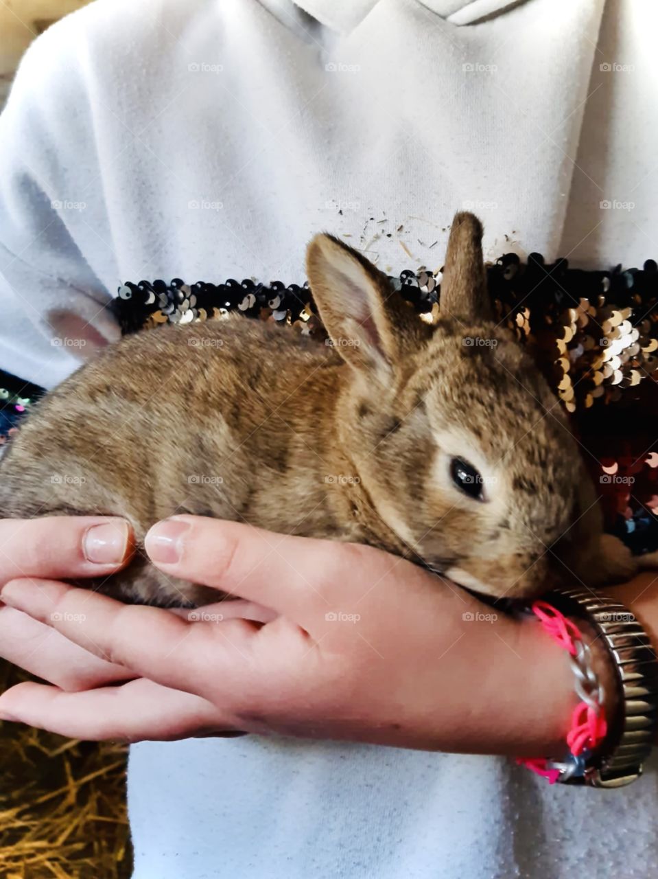 A bunny secure in the arms of a young girl